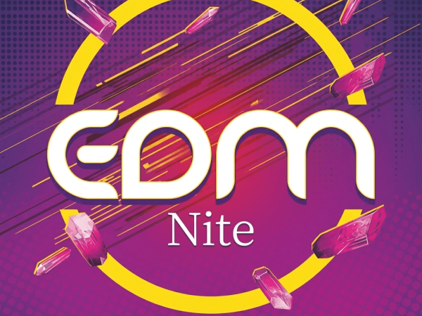 EDM Night Party Flyer Template
